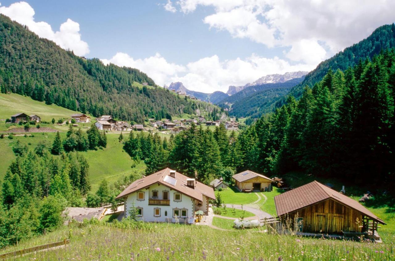 Apartment Puciacia - Bauernhof Santa Cristina Val Gardena Bagian luar foto