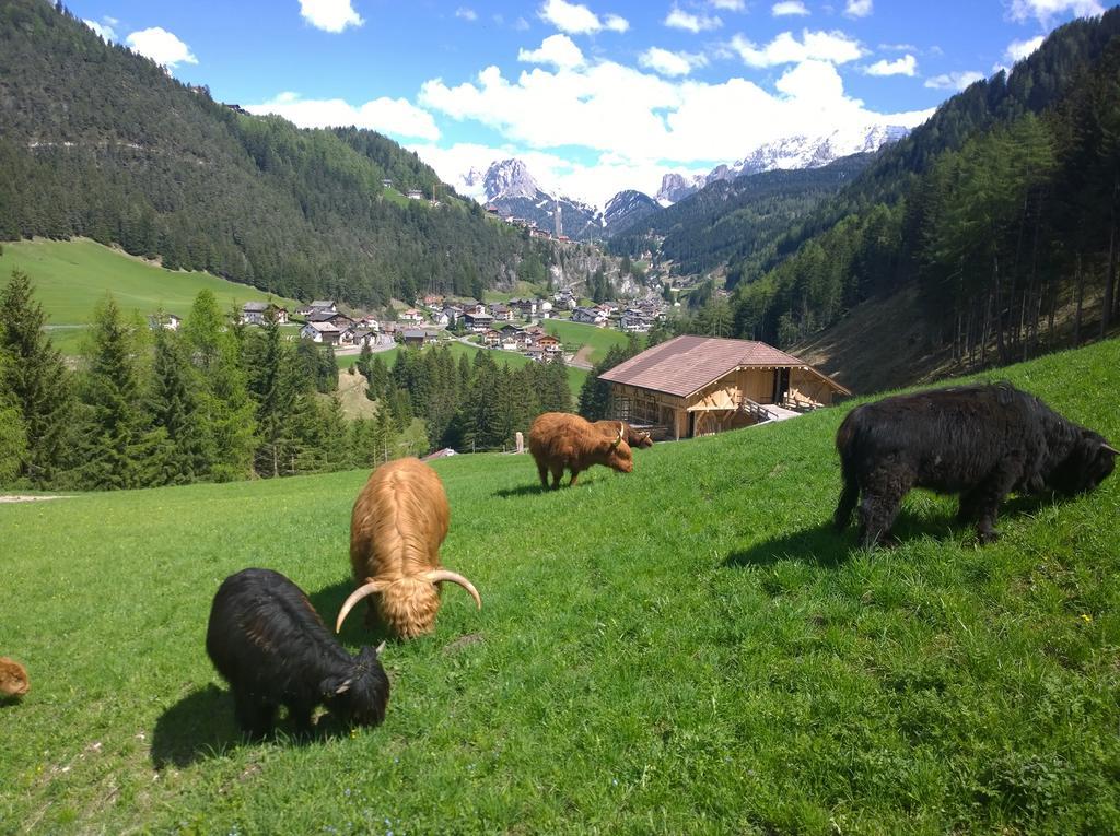 Apartment Puciacia - Bauernhof Santa Cristina Val Gardena Ruang foto